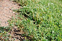 [PEI1_01440.JPG]