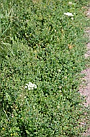[PEI1_01470.JPG]