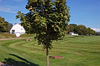 [PEI1_01480.JPG]