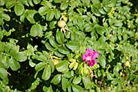 [PEI1_01510.JPG]