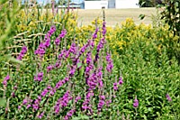 [PEI1_01540.JPG]