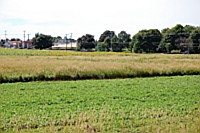 [PEI1_01550.JPG]